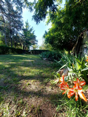 Casita Mia
